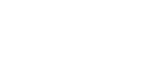 Vanderbilt Mortgage Logo